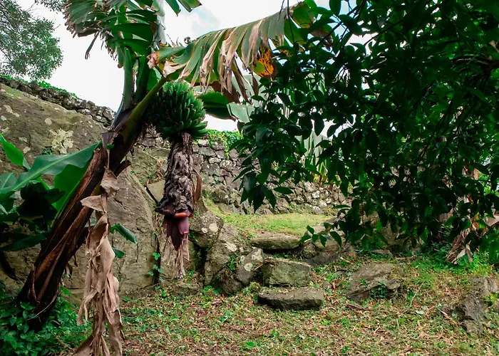 Agroturismo Franco Da Serra Angra do Heroísmo